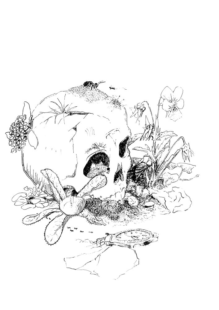 Sur cette illustration on peut voir un crâne humain posé par terre , fendu et vegetalisé par le temps. Un rat y a fait son domicile. Sur le front on peut y voir un résidus de gravure d'un logo tesla, faisant référence à une certaine scène d'inglorious bastards.

Au premier plan on peut voir une pierre ainsi qu'une Trump watch cassée et arrêtée sur 1h12 (ou 13h12 qui sait 🤷‍♀️)
On peut également voir une colonnie de fourmis partant au loin.

Au 2nd plan, juste devant le crâne, on peut voir des plantes que l'on peut observer des plantes considérée comme mauvaise herbes et qui apparaissent à l'arrivée du printemps, ça symbolise le printemps des luttes. (Et de la mousses, j'aime la mousse).

On arrive au 3eme plan avec le crâne.
A l'arrière, sortant d'un trou du crâne, un petit bouquet de myosotis qui sont parfois associés aux personnes trans et en symétrie, qui encadre la tête, des violettes des champs, symbole des personnes non binaire.
Il est parsemé de mousses diverses, car j'aime la mousses et ça symbolise le temps nécessaire pour la nature de reprendre le pouvoir sur le terrorisme anti écologie menée par les grandes entreprises et par les ambitions capitaliste des quelques égos.
Entre les dents du crâne on peut voir des pièces de 1 pour symboliser ce cynisme capitaliste et l'enrichissement sur de nombreuses générations à outrance, un pillage qui se poursuit au travers du temps défiant le voile de la mort

