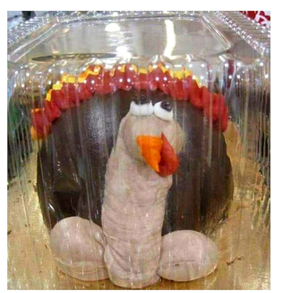 A homely looking Turkey cake.