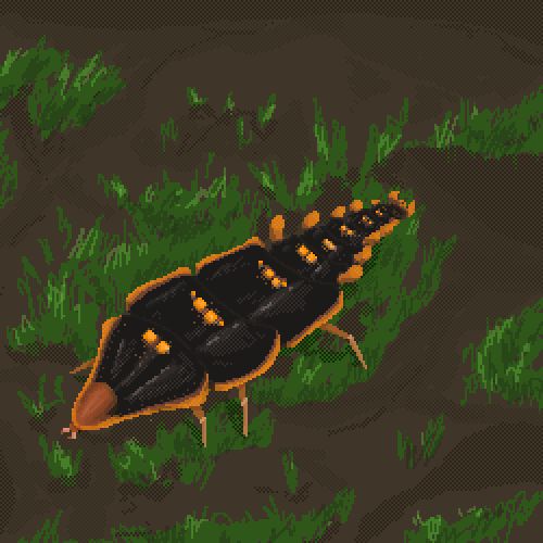 high angle view pixel art of a trilobite beetle - it resembles a trilobite, with black plates going from larger at the anterior to smaller at the posterior, with orange edges and orange spots at the back of each plate, with a pair of legs from the first three segments. It's on mossy ground.