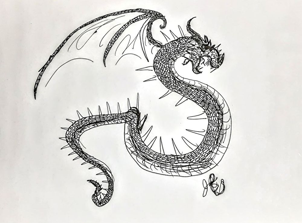 A rough sketch of a serpentine dragon