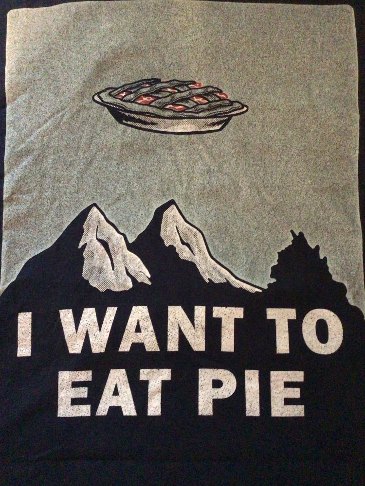 Drawing of UAP Unidentified Anomalous Pie flying over mountains