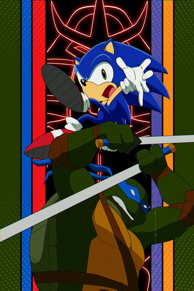 Sonic X Teenage Mutant Ninja Turtles 2003 Leonardo and Sonic the Hedgehog