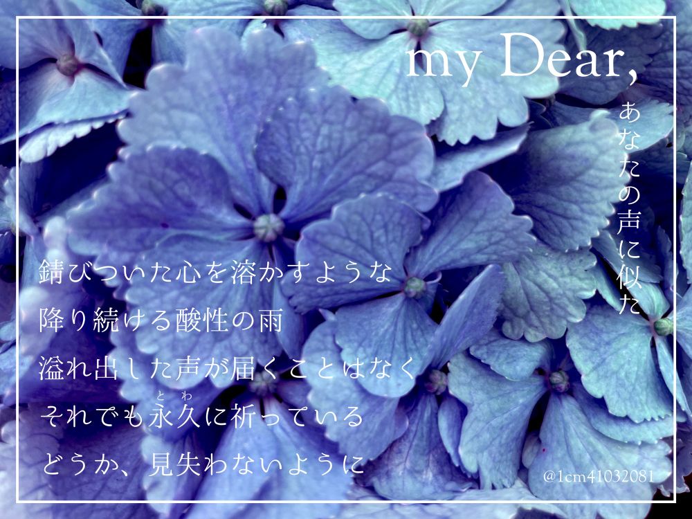 紫陽花の写真に詩を添えた画像