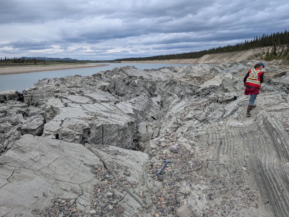 The uplifted toe of the May 2025 Yukon River landslide. Image copyright the Yukon Geological Survey, used with permission.