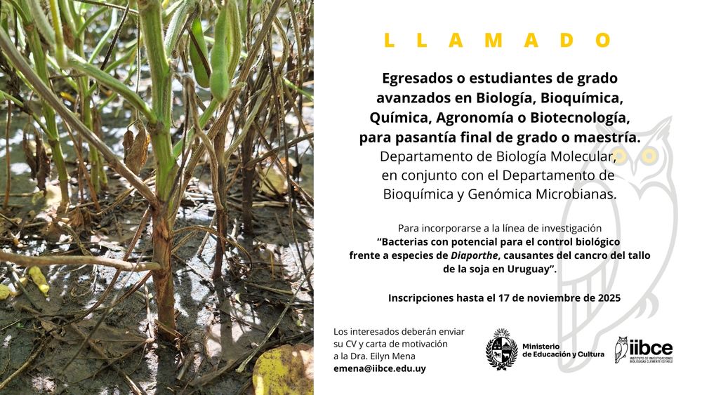 Gráfica con más información sobre el llamado que también se encuentra en la web