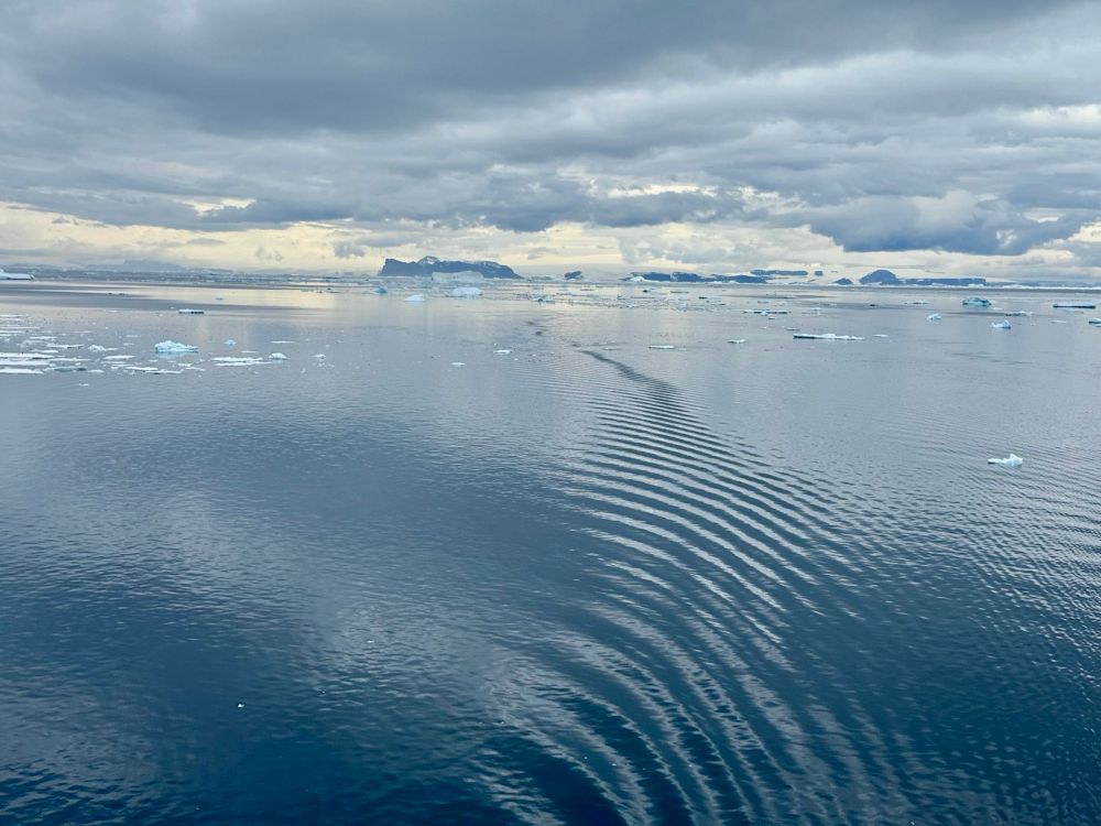 Ripples of water from a moving ship on a calm sea stretch into the distance with icebergs and clouds sitting near the horizon. 