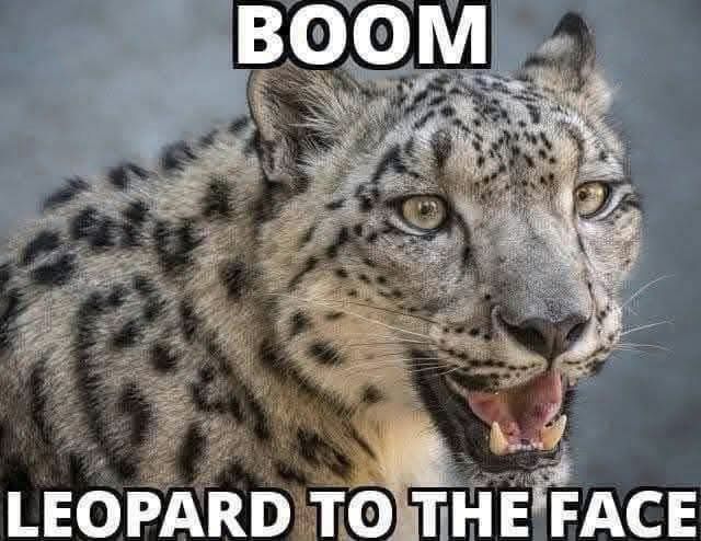 Comment image