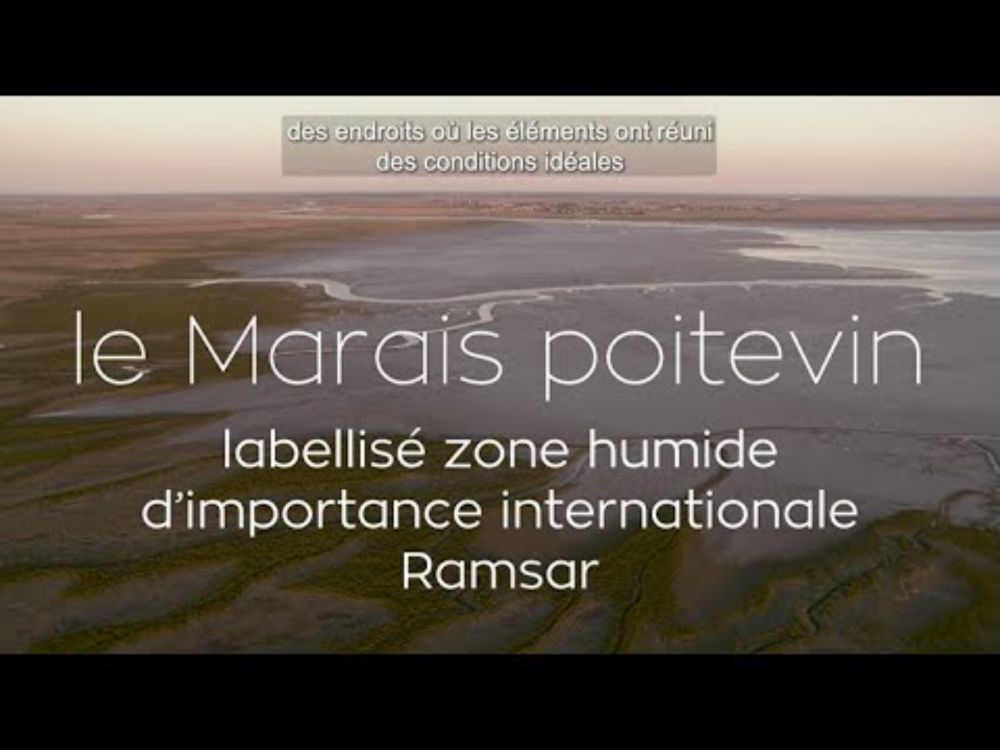 Le Marais poitevin, zone humide labellisée Ramsar