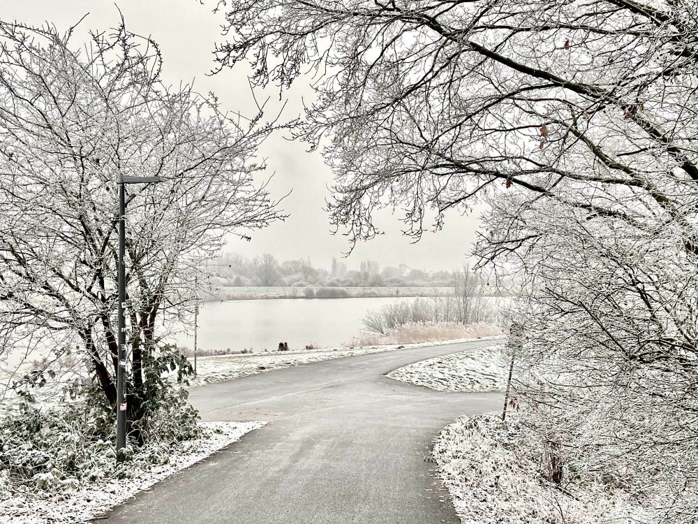 Blick auf ein Gewässer bei trübem Winterlichen Wetter. Im Vordergrund rahmen Bäume, von Raureif überzogen, den Weg ein.