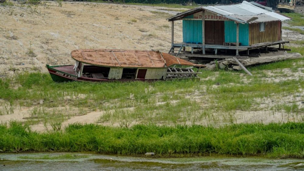 Mudanças climáticas: seca na Amazônia aumenta 2000% e potencializa queimadas