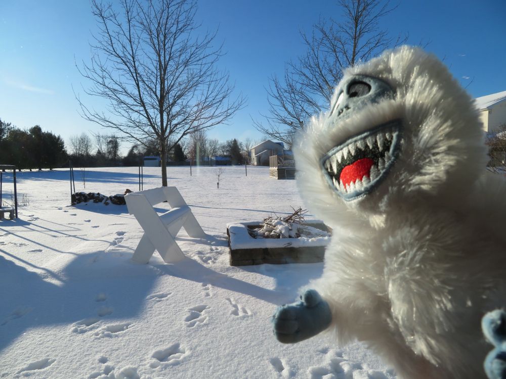 Bumble stuffed doll looking at snow outside. 