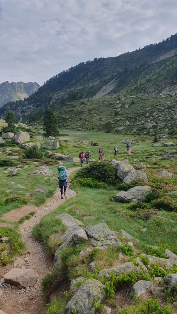 Plusieurs randonneurs et randonneuses sur un chemin dans un decor grandiose des hautes pyrénées.