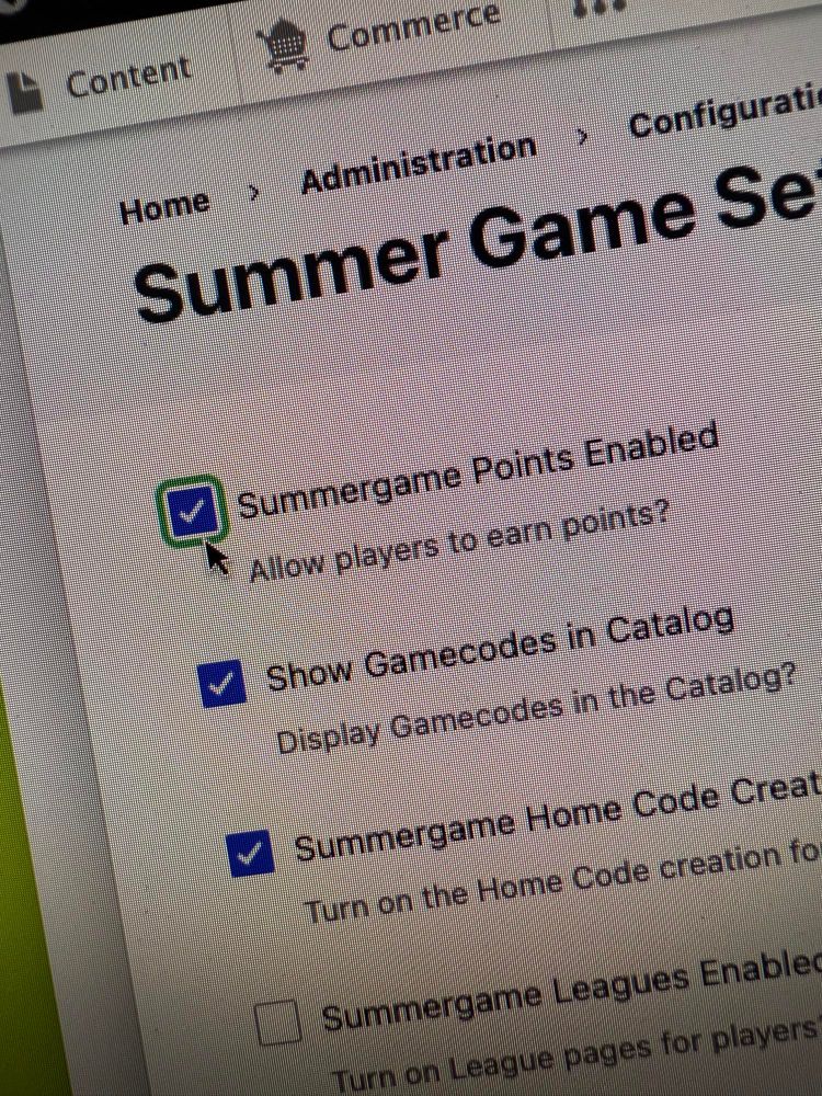 Checkbox enabling the Summer Game
