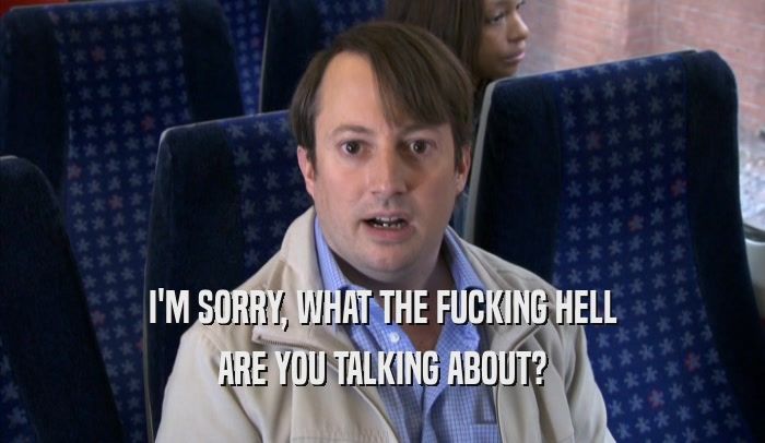 Mark Corrigan from Peep Show flatly asking "I'm sorry, what the fucking hell are you talking about?"
