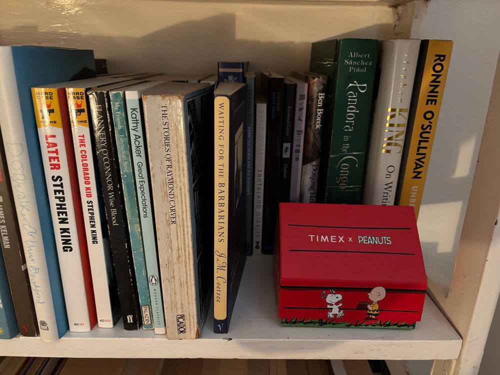 A snoopy kennel watch box. On a bookshelf. 