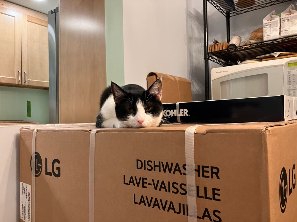 A very exasperated-looking tuxedo kitty is laying atop a dishwasher box in front of a partially finished kitchen. 