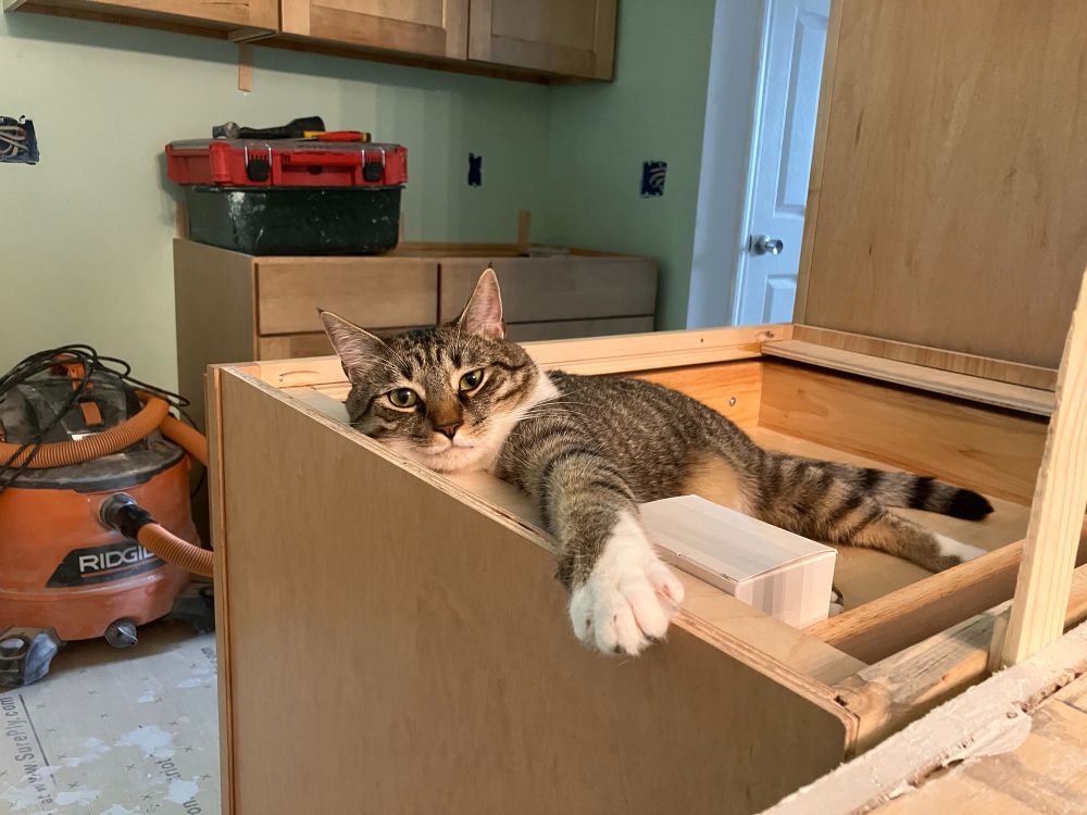 A photo of a very satisfied-looking grey/brown tabby with white paws, lounging in the top drawer of a cabinet that has no countertop.
