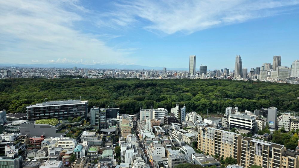 新宿の高層ビル群と、手前に広がる明治神宮・代々木公園の緑地を望む高所からの風景写真。青空の下、住宅街やオフィスビルが立ち並び、右手奥には新宿の超高層ビル群が見える。明治神宮の森は隙間なく木々が生えている。