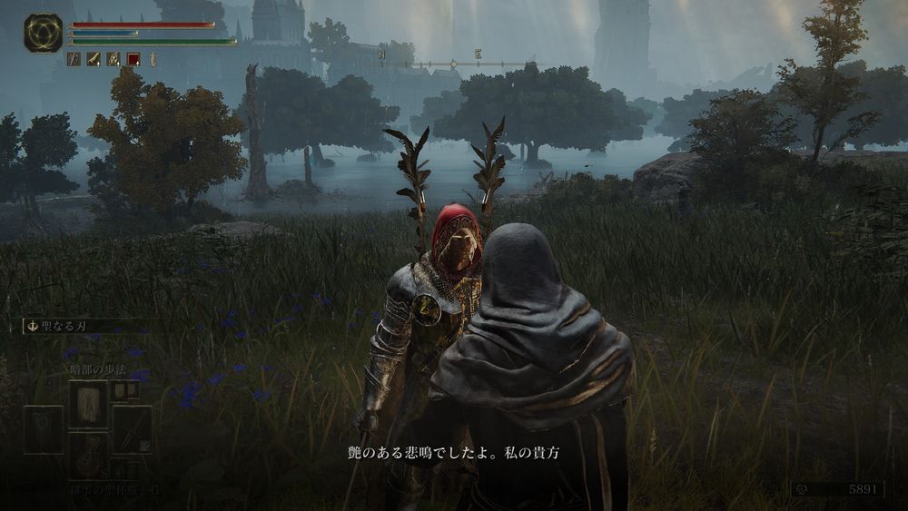 ELDEN RING
ヴァレーに「艶のある悲鳴でしたよ、私の貴方」と言われてるところ