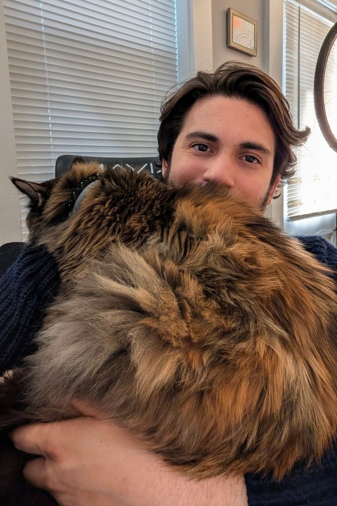 The poster takes a selfie with the cat he fathers fully laid down on him. She is not happy unless she gets carried by him. 