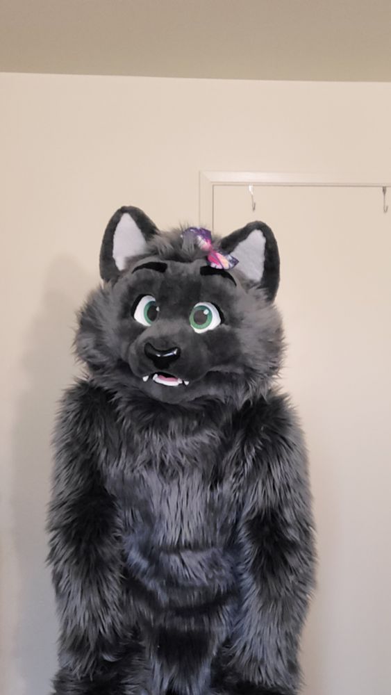 Gray cat fursuit bending down and staring directly at the camera with a blank-colored wall behind him.
