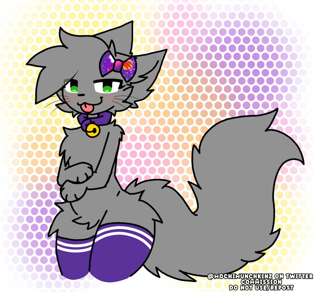 Gray cat wearing a galaxy-themed bow, purple bell collar, and purple stockings.