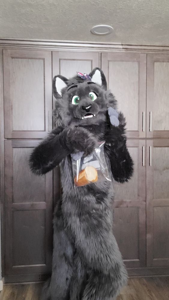 Gray cat fursuit staring at the camera in a cute pose holding a Ziploc bag with half a loaf of bread inside