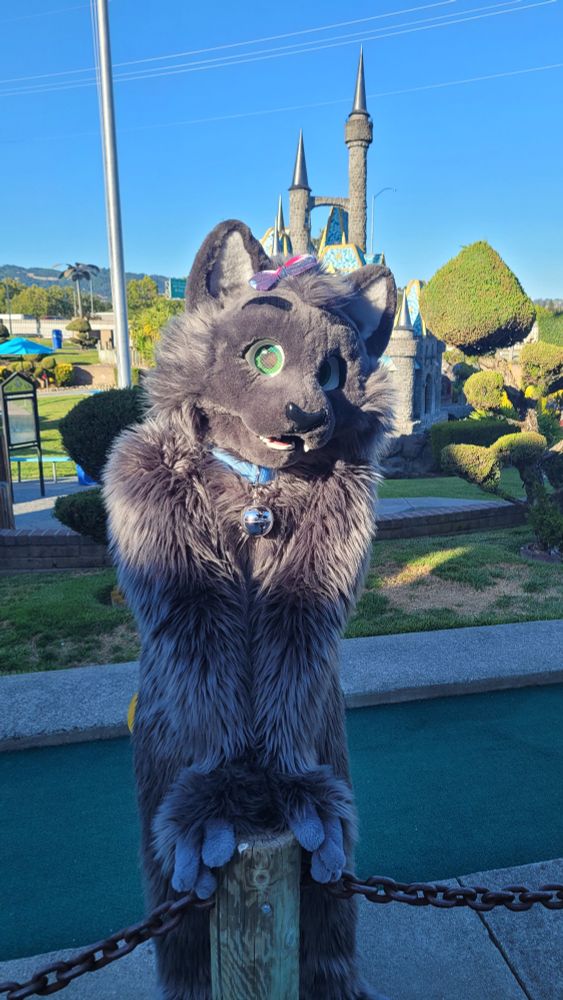 Gray cat fursuit staring at the camera. A castle is visible in the background from what appears to be several mini golf courses around it.