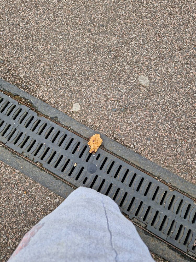 A piece of broken florentine biscuit thing, forlornly abandoned on Peterborough train station platform 7