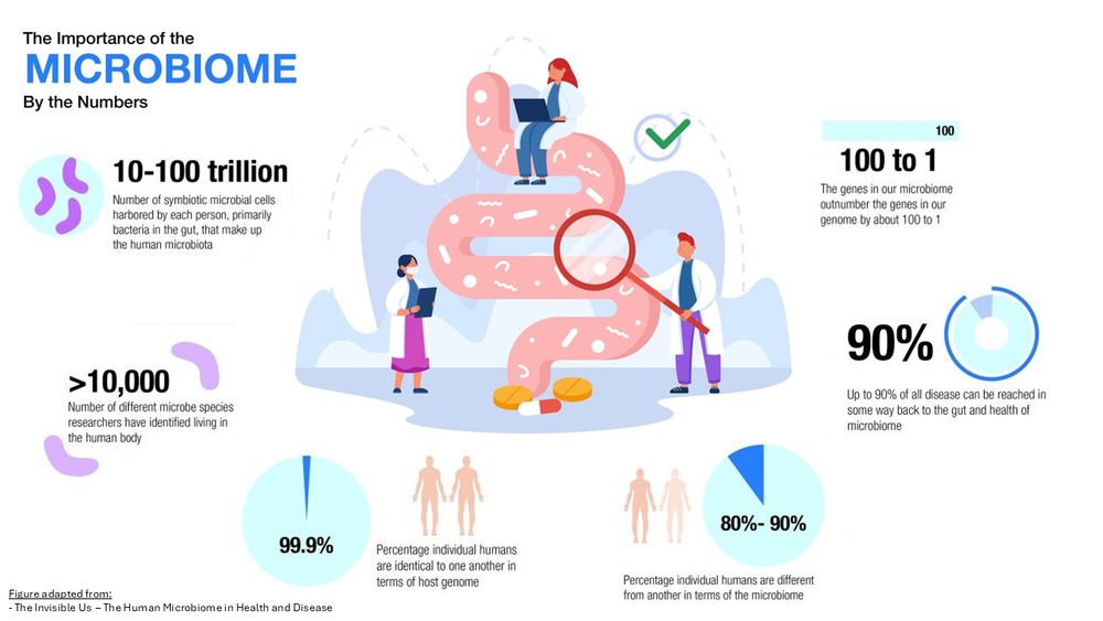 The importance of the microbiome by the numbers
- 10-100 trillion symbiotic microbial cells in each person
- >10,000 different microbe species
- The genes in our microbiome outnumber the genes in our genome by about 100 to 1
- Up to 90% of disease can be linked back to the gut microbiome 