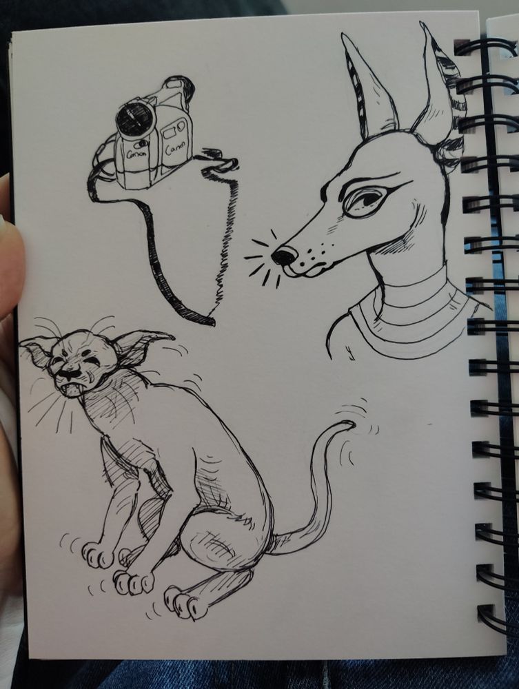 More doodles with black pen on white sketchbook pages! This time with a camera, an Anubis, and a grumpy skrunkly cat!
