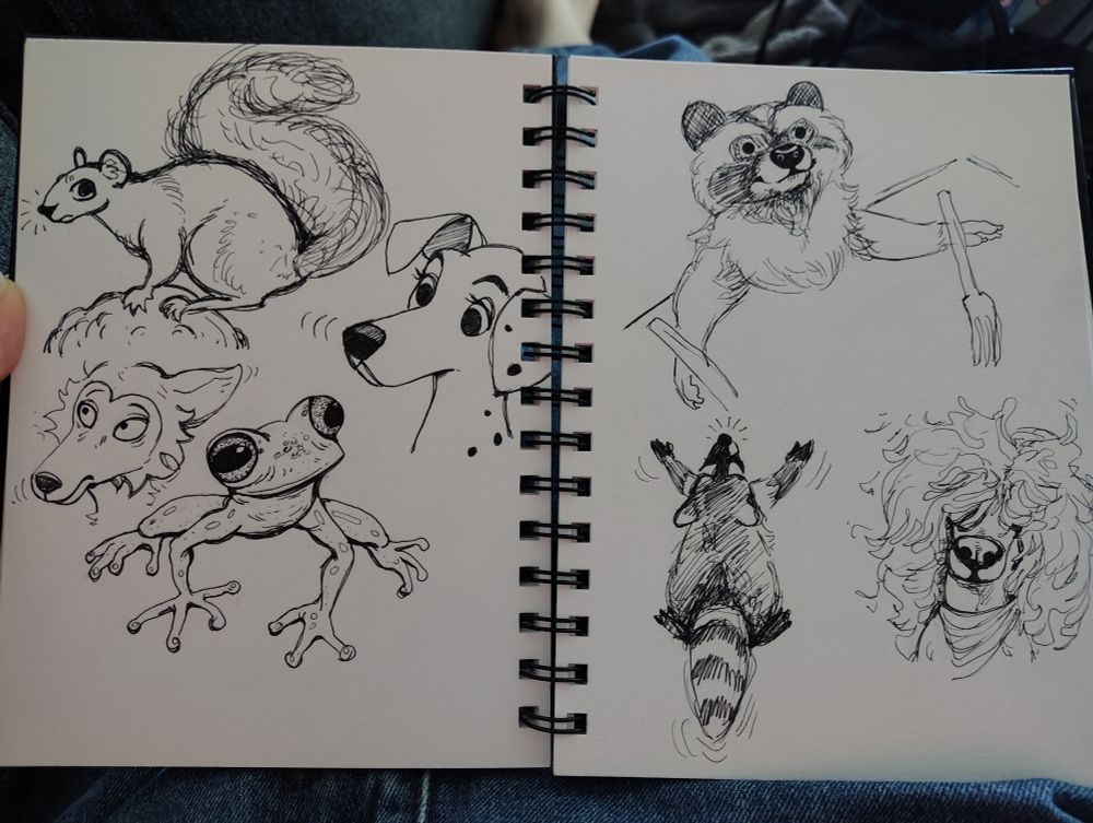 Doodles with black pen on white sketchbook pages! Featuring a shy squirrel, a nervous Legoshi, a boggly eyed frog, a Dalmatian, a raccoon holding forks, a raccoon holding up its hands in a praise gesture, and a dog with extremely large fluffy hair that covers its eyes!