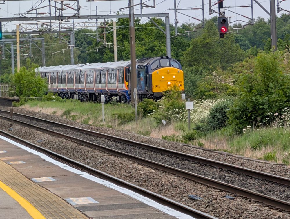 a zoomed in picture of a class 37 locomotive dragging a london overground class 378. the train is partially obscured by a mast and some foliage. there are dense trees behind the train, and a few lines of track between the platform i'm stood on and the train. 