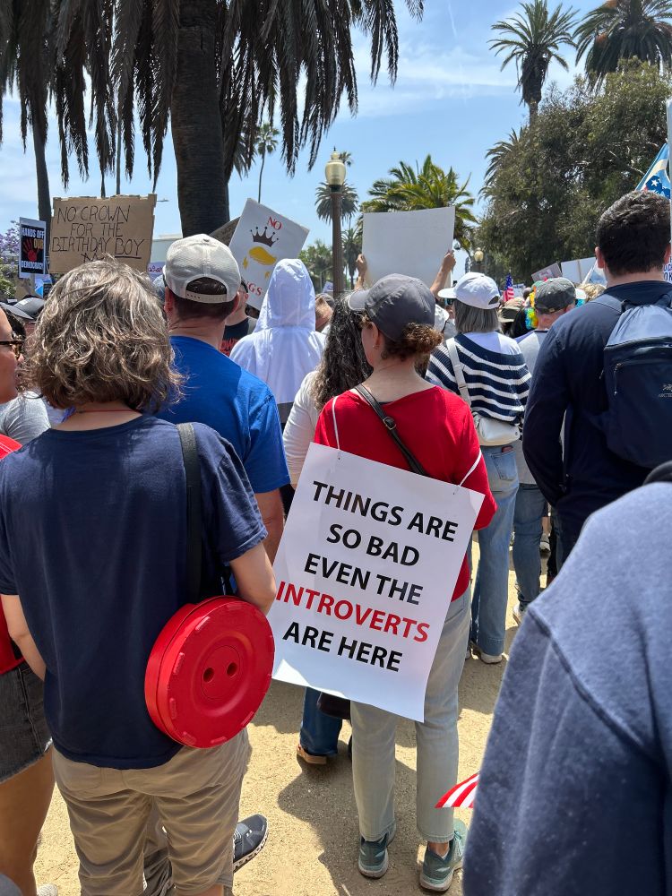 No Kings protest sign. Things are so bad even the introverts are here.