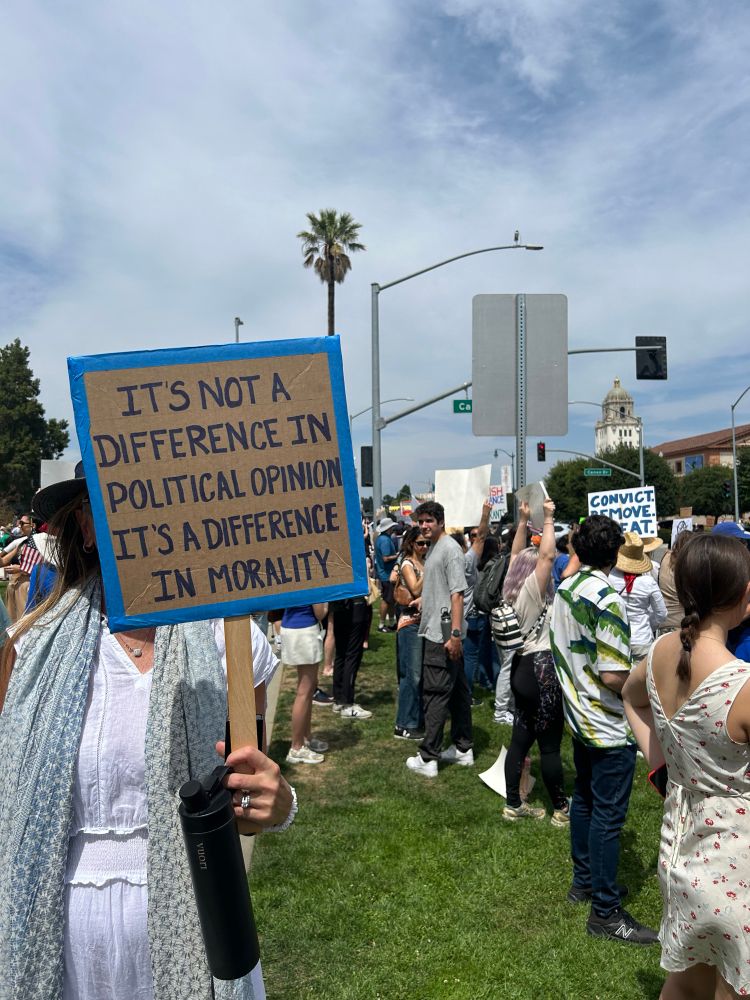 No Kings protest poster.