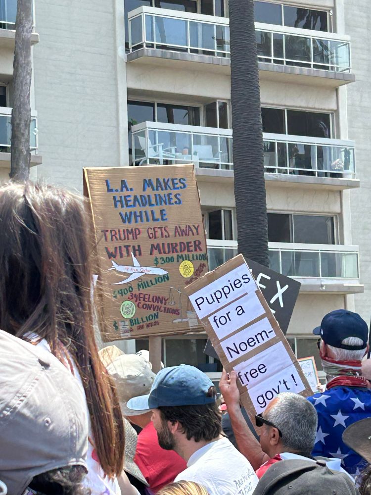 No Kins protest signs. LA Makes Headlines While Trump Gets Away with Murder and Puppies for a Noem-free gov’t!