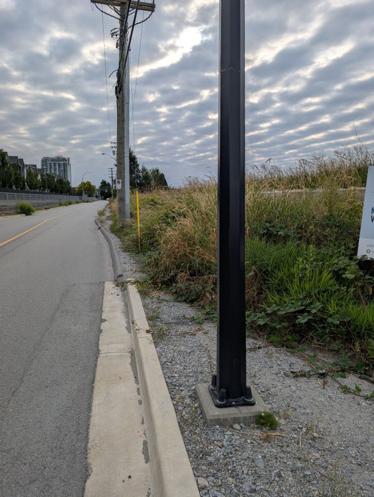 A photo of a gravel sidewalk overrun with plants, leaving no space for pedestrians to use it