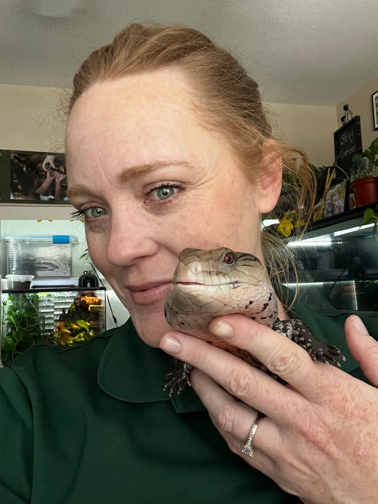 Woman holding a blue tongue skink 