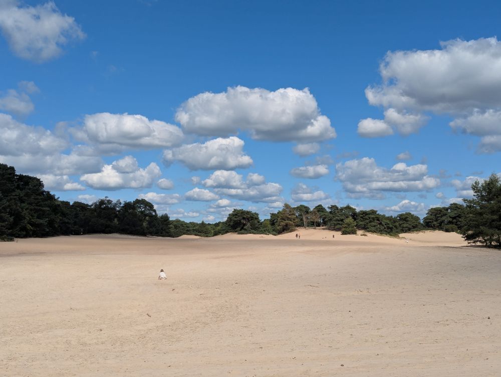 Little girl rolling in some dunes surrounded by trees