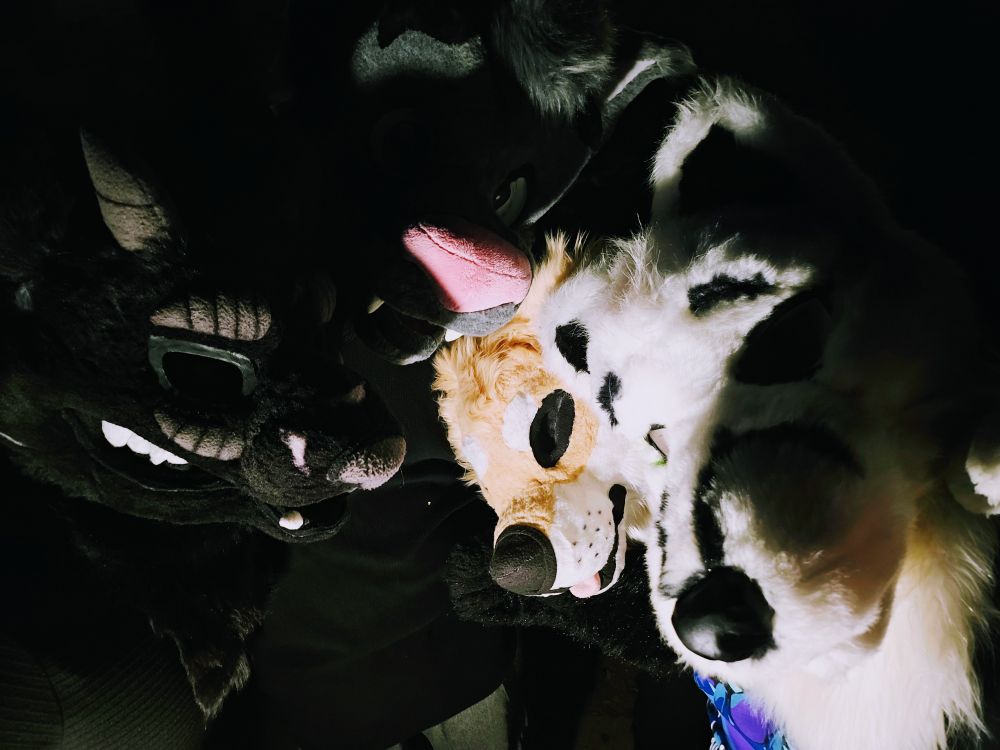 A monster, a lynx, a doggo and a fox embracing in darkness