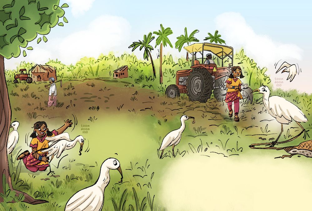 A spread illustration of a girl on the farm, feeding herons.