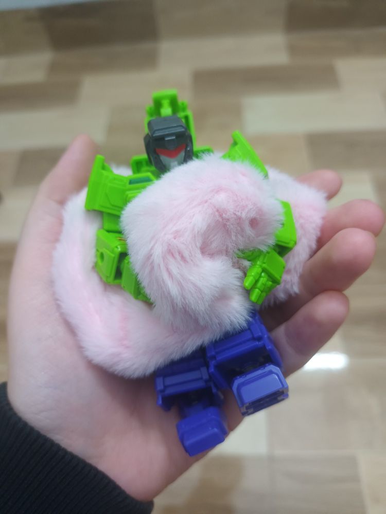 This is Scavenger, my emotional support transformer 