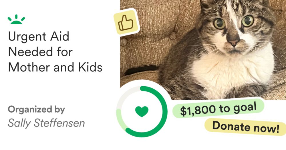 Donate to Urgent Aid Needed for Mother and Kids, organized by Sally Steffensen
