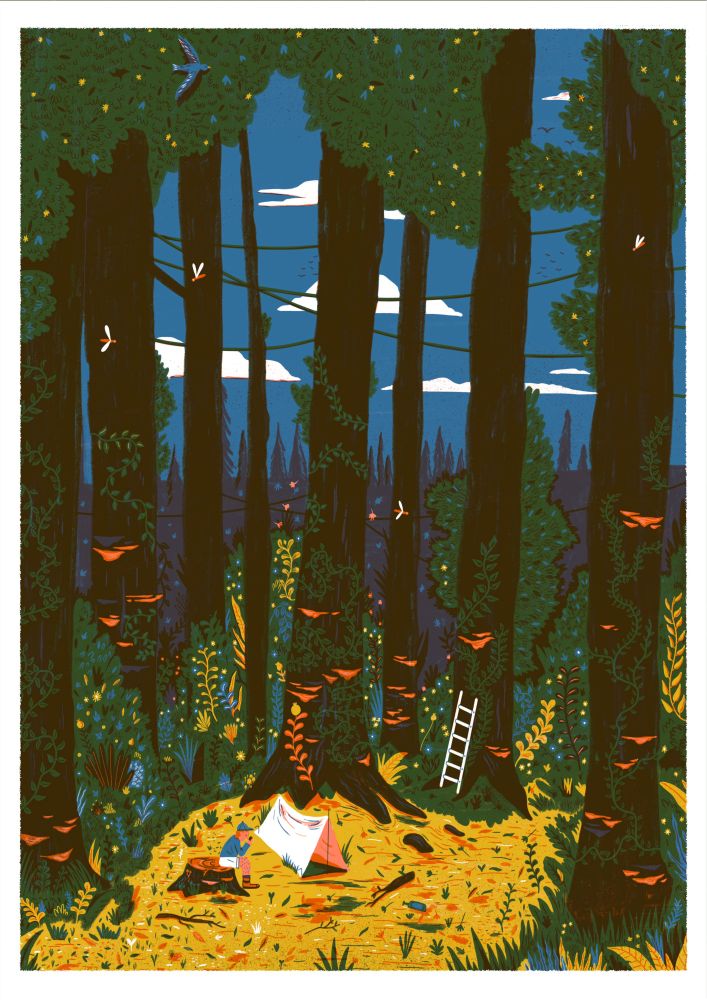 A 4 colour illustration in a screenprint style depicting a dense forest. 