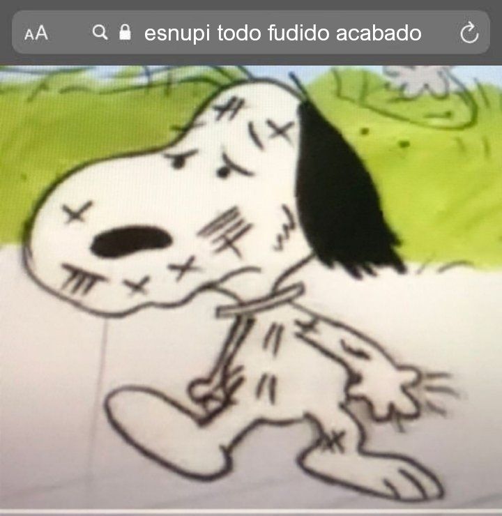 Cachorro Snoopy abaixo de uma legenda de busca escrita "esnupi todo fudido acabado".