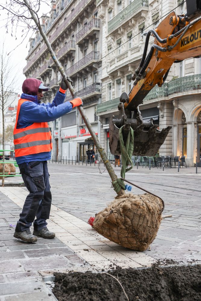 Plantation d'arbres, Place Notre Dame.
© Sylvain Frappat - Ville de Grenoble