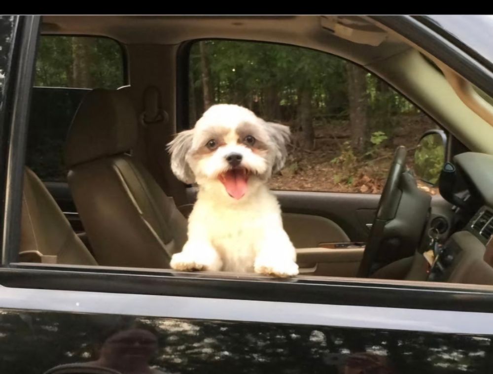 Chancey is a very happy boy