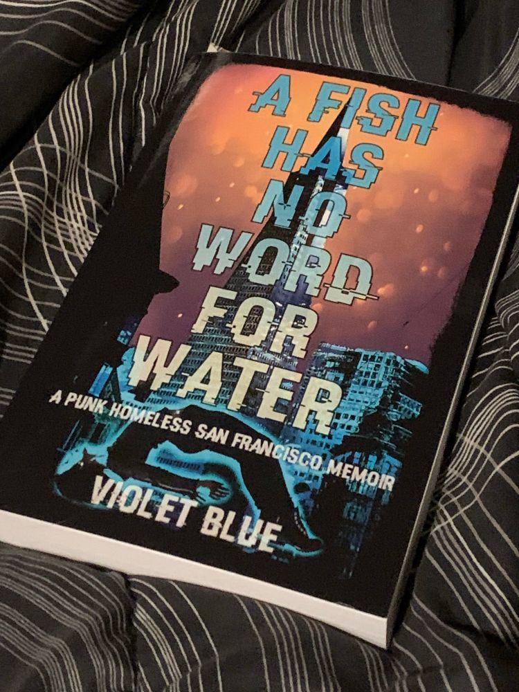 Book: A Fish Has No Name For Water, A Punk Homeless San Francisco Memoir by Violet Blue.