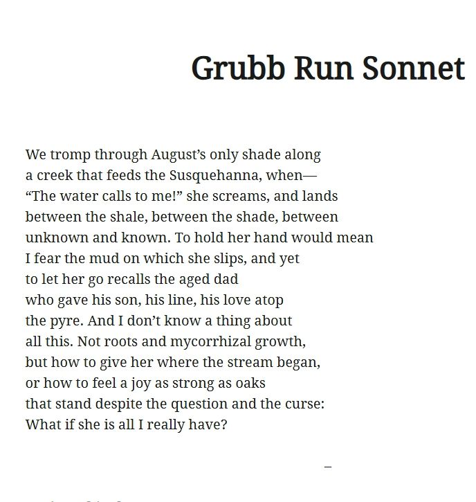 Grubb Run Sonnet
We tromp through August’s only shade along
a creek that feeds the Susquehanna, when—
“The water calls to me!” she screams, and lands
between the shale, between the shade, between
unknown and known. To hold her hand would mean
I fear the mud on which she slips, and yet
to let her go recalls the aged dad
who gave his son, his line, his love atop
the pyre. And I don’t know a thing about
all this. Not roots and mycorrhizal growth,
but how to give her where the stream began,
or how to feel a joy as strong as oaks
that stand despite the question and the curse:
What if she is all I really have?