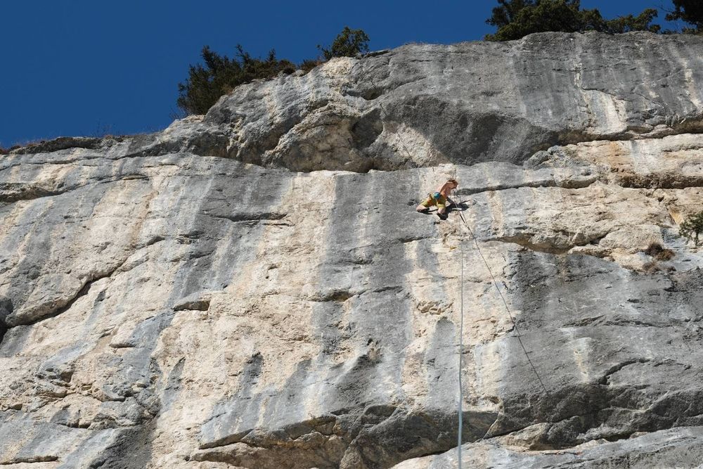 climbing in my backyard
